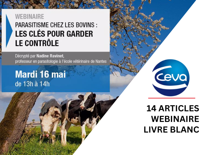 PUBLI-INFORMATION, WEBINAIRE ET LIVRE BLANC CO-BRANDE